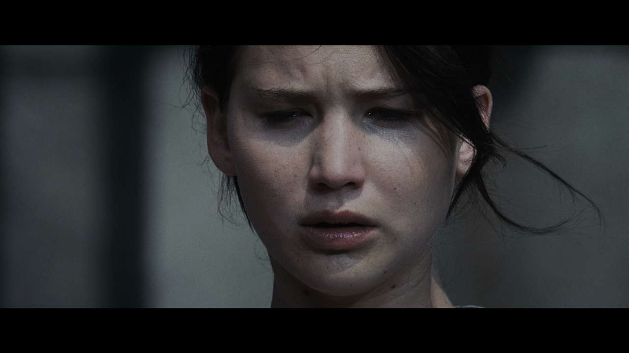 The.Hunger.Games.2012.2160p.UHD.BDRemux.TrueHD.Atmos.7.1.HYBRID.DoVi.mkv_001629.372