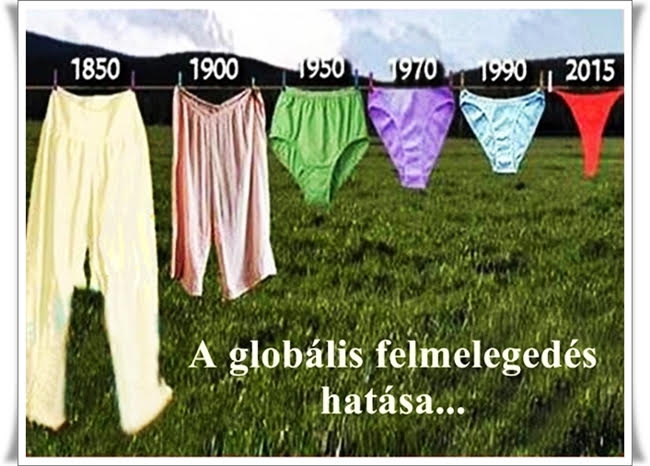 https://i.postimg.cc/x1C7wrVW/a-globalis.jpg