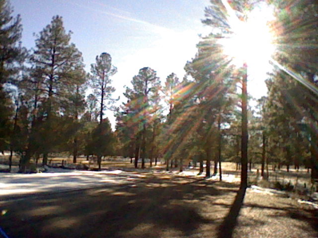 i hope we meet again someday (2026)