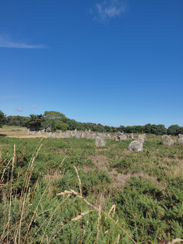 [Image: IMG-20230712-180846.jpg]