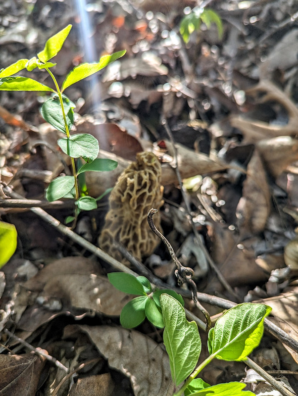 PXL_20240405_212649974~2