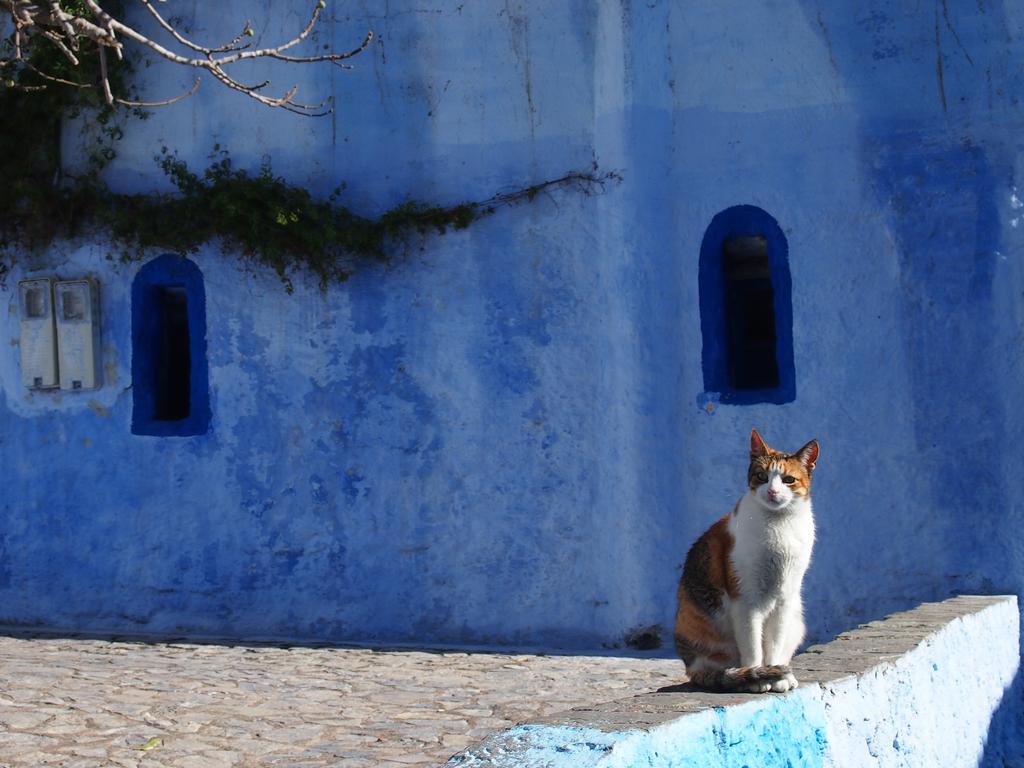 Такая близкая Африка. (ЮАР. 22 дня и 4200 км. Ноябрь-Декабрь)