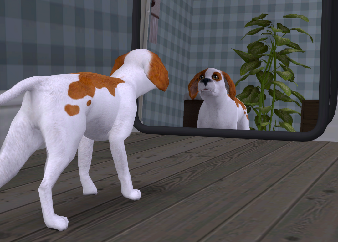 ksnip-20250223-141708