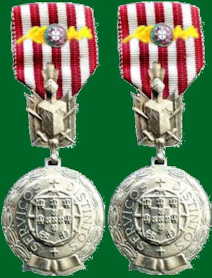 2-Servi-os-distintos-prata-com-palma