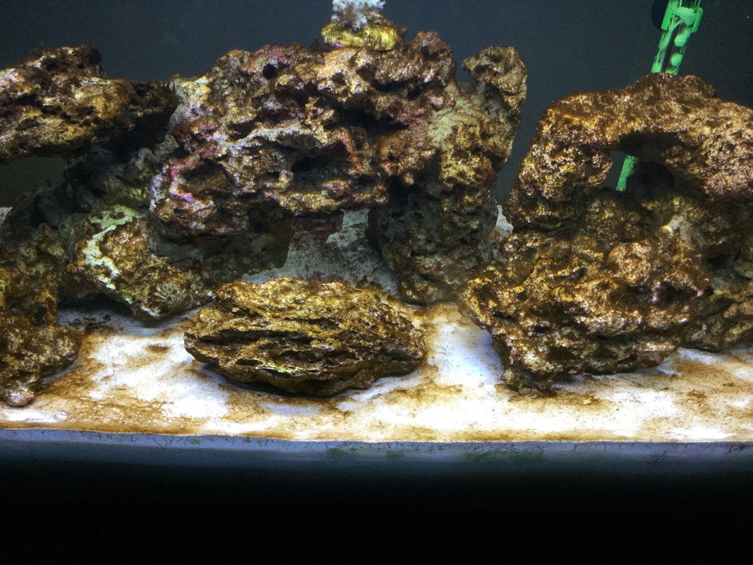 C228F9CA-4A83-4AFA-AAC0-FC7BAAA686C2