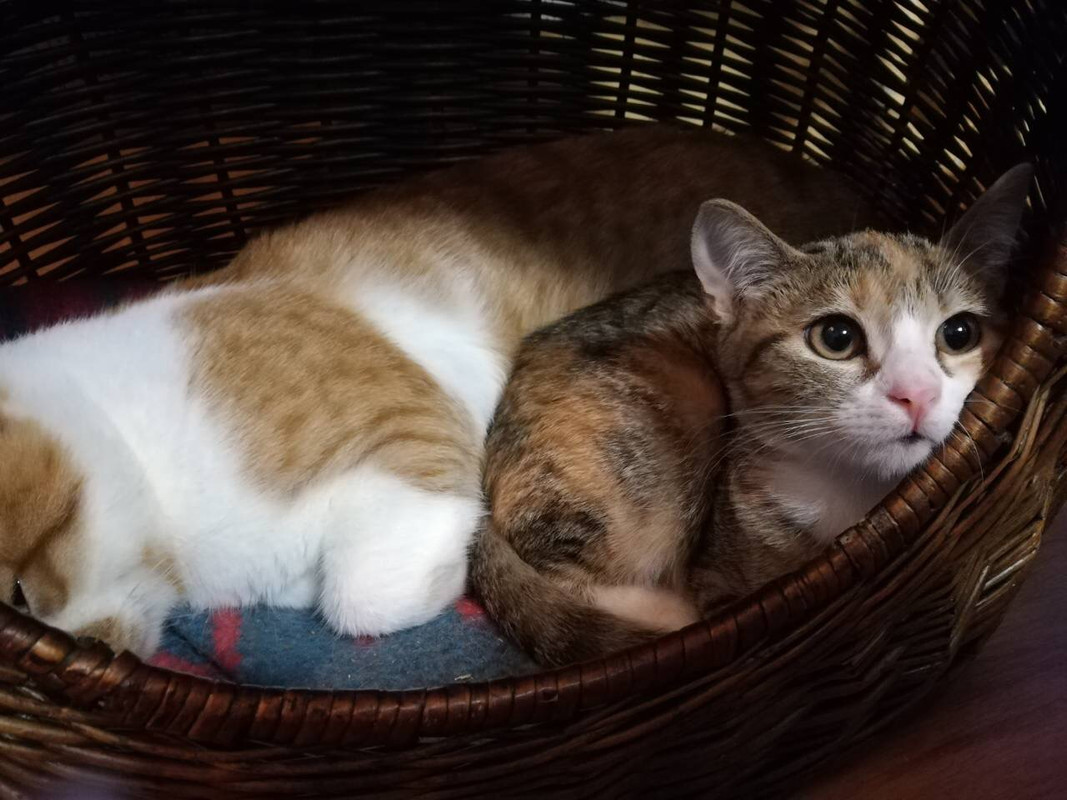 2A5A286D-3405-4604-96F1-76AAD722A23F