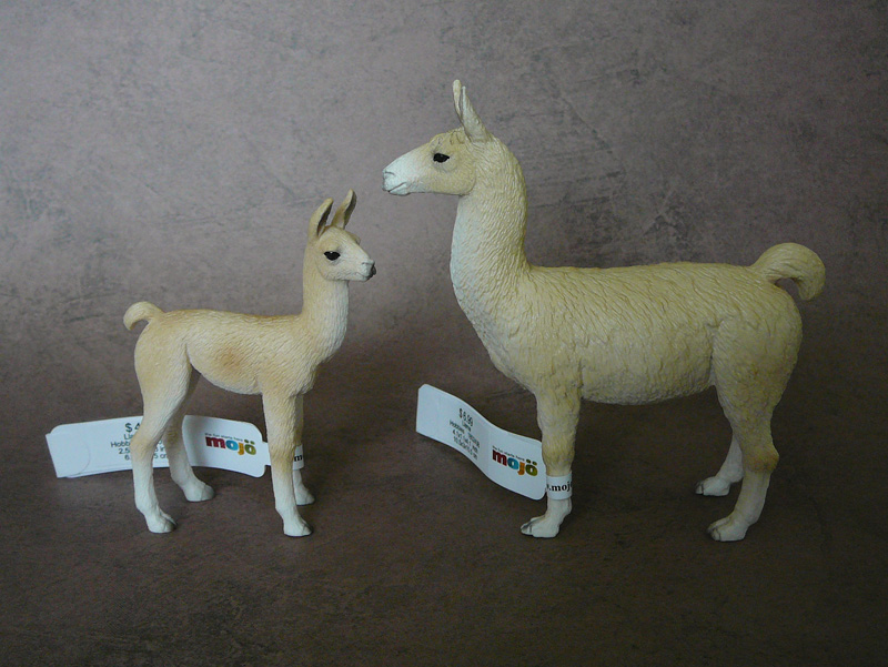 Mojö 2019 Llama and Cria- a walkaround by A.R.Garcia P1090222ed
