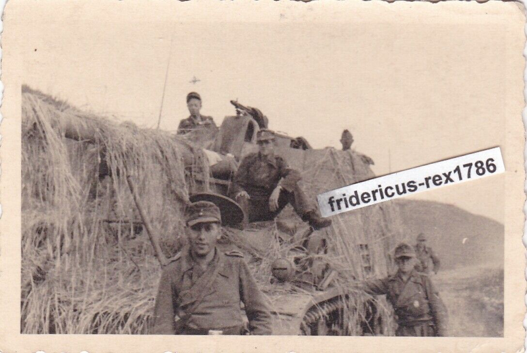 Foto schw. Panzerjäger -Abt.88 Selbstfahrlafette Nashorn Horniss
