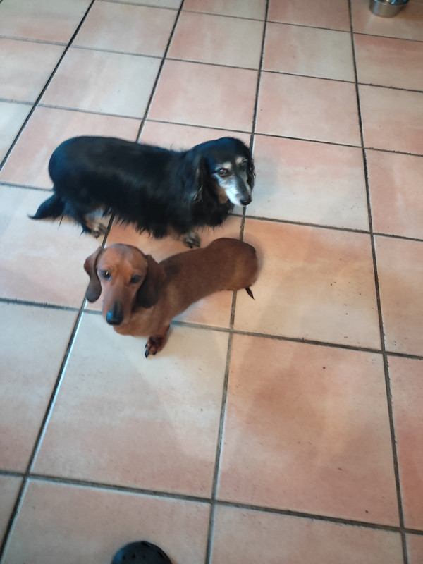 [Image: IMG-20240204-090754.jpg]