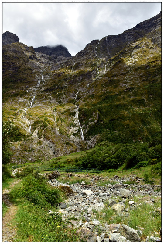 Fiordland NP: Milford Track (enero 2023) - Escapadas y rutas por la Nueva Zelanda menos conocida (19)