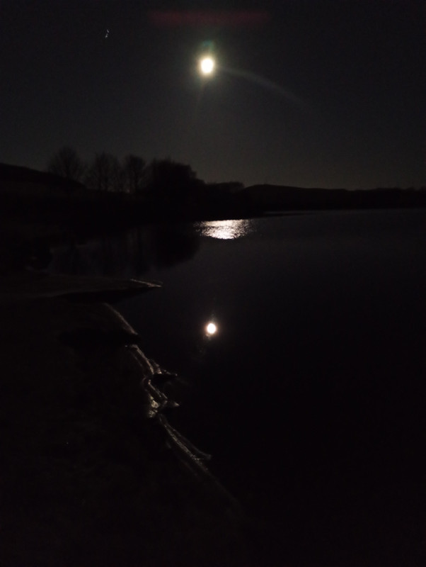 IMG 20260103 064556565 MFNR