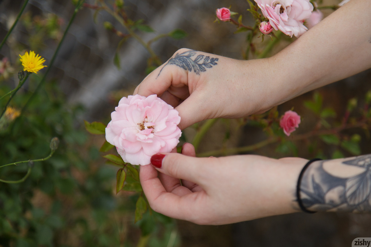 full_016_1150111230007469