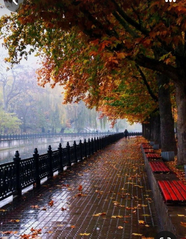 Screenshot_20231217_214248_Pinterest