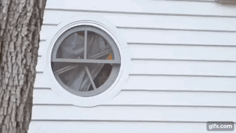 IMG-8845.gif