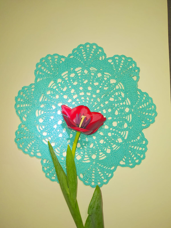 B20ADE19-8A60-4480-8307-33598C3B8D27