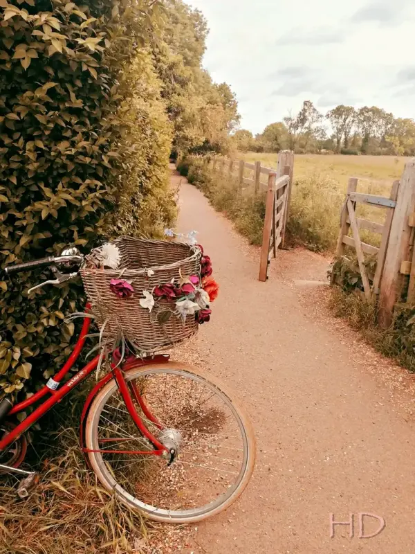 bike-path.webp