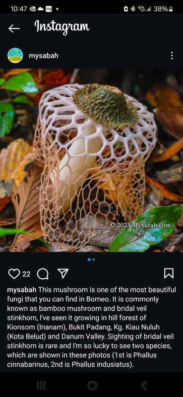 Screenshot_20241028_224718_Instagram