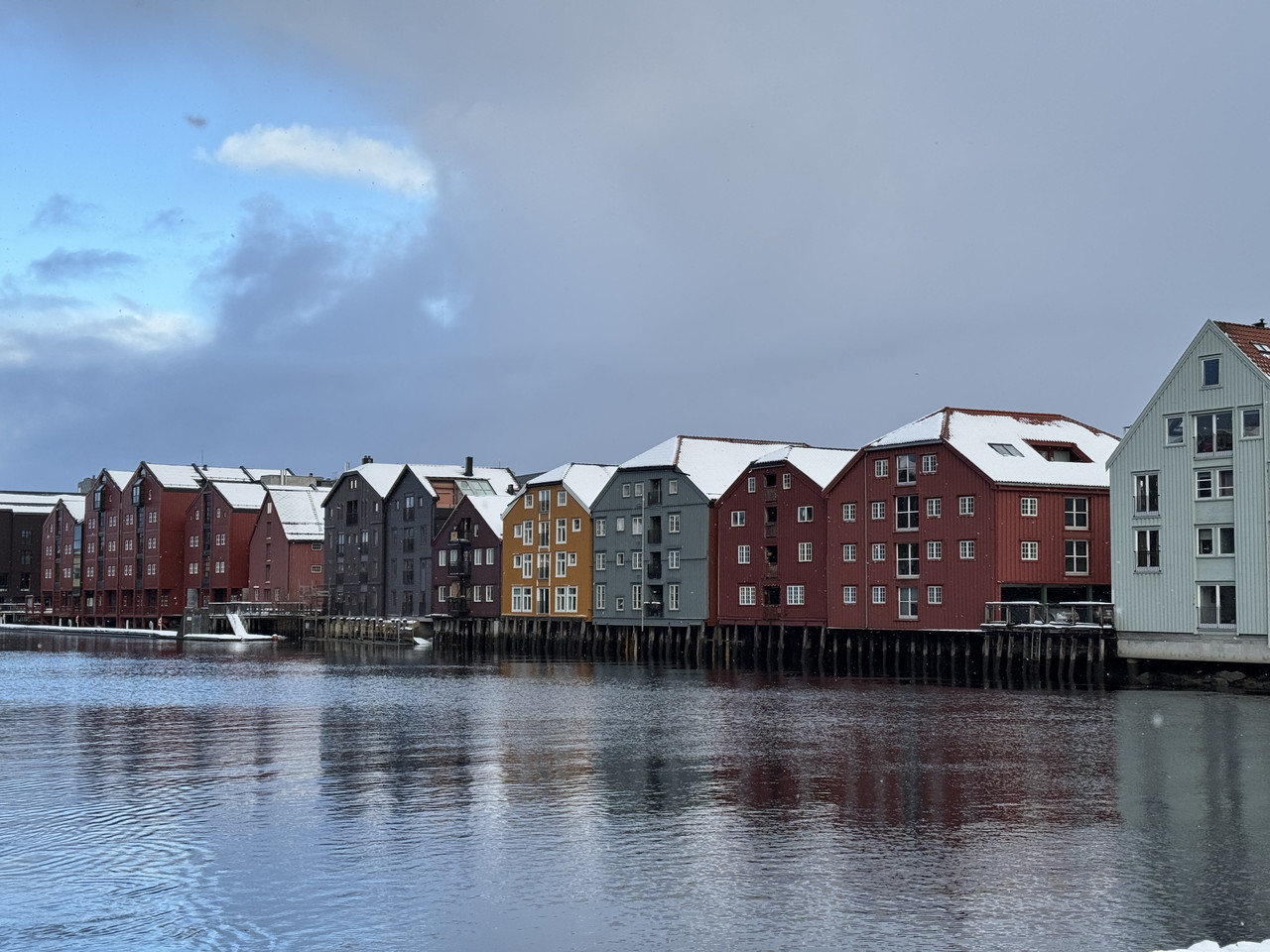 [Immagine: IMG-9288.jpg]