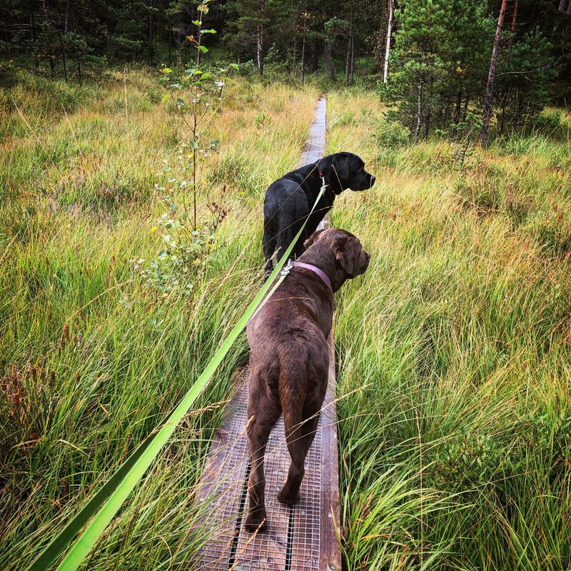 8B0455CB-EF29-446C-8389-91F8398D8266