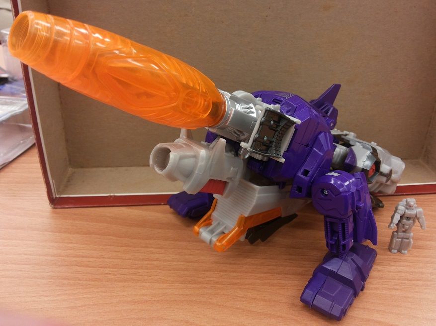 13331099_272465683103866_9144477060147548655_n