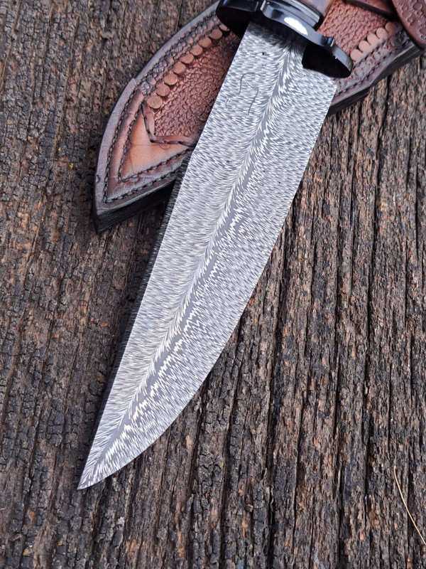 WhatsApp Image 2024-11-07 at 11.54.44 (1)