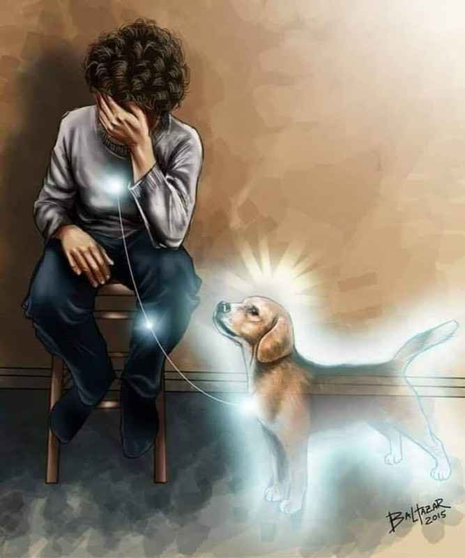 [Image: 307158055-2770940786371386-6610539005629114652-n.jpg]