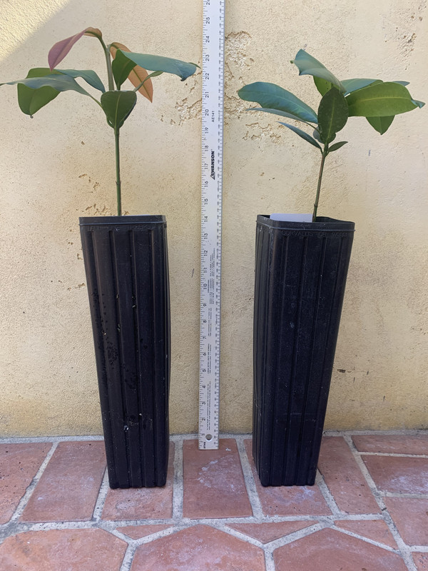 58C1CC0E-9C94-4F2B-BDBD-74286A36FC0C