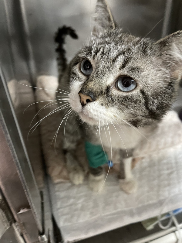 69C07D41-2233-4595-ADAF-F8264ECCF2E9