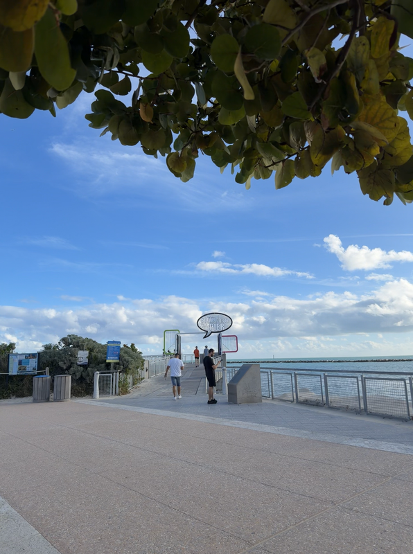 [Image: Miami-South-Point-Park0a.png]