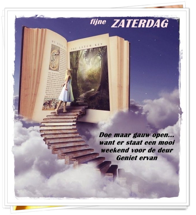 welkom opblog Bunic Jos
