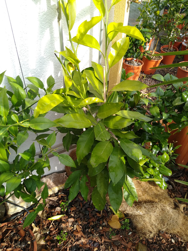 IMG_20230319_094119571