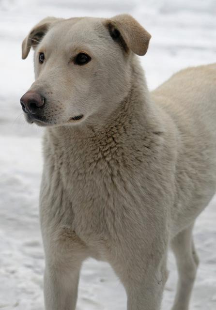 nbQLCvxR6IQ - копия - копия