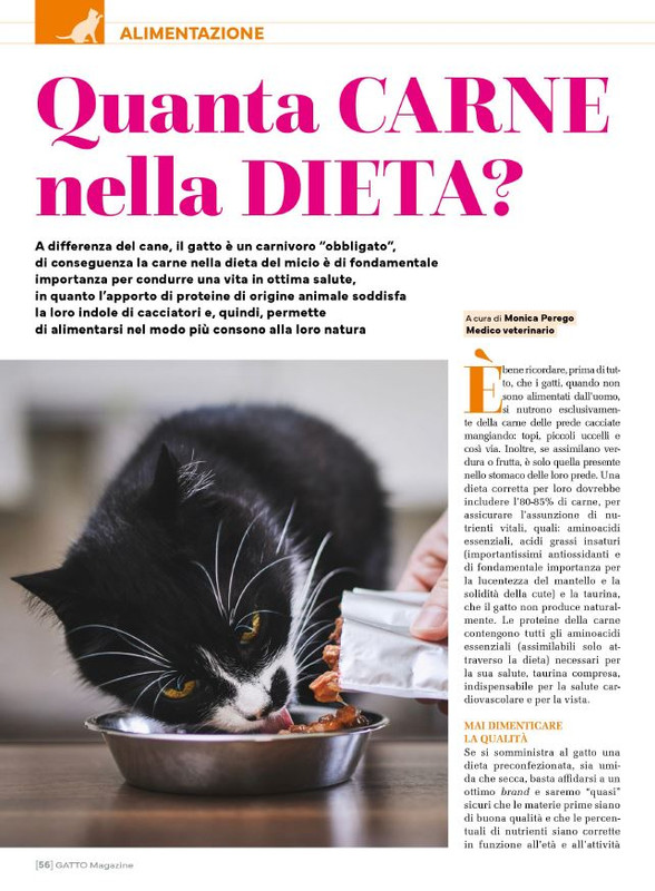 Ga Ma Ago-Set 2025 (9)