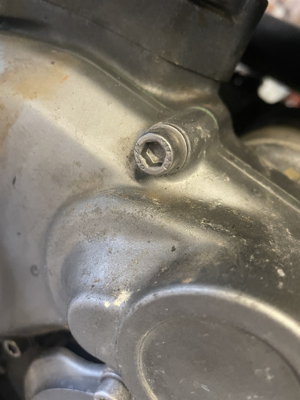 A13A1081-FD4A-4742-9ACA-CC92BFA6C209