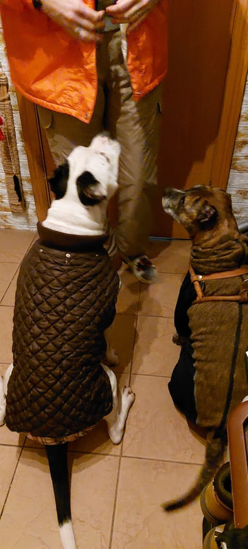 A21FB399-B403-4578-96AF-5E960682664A