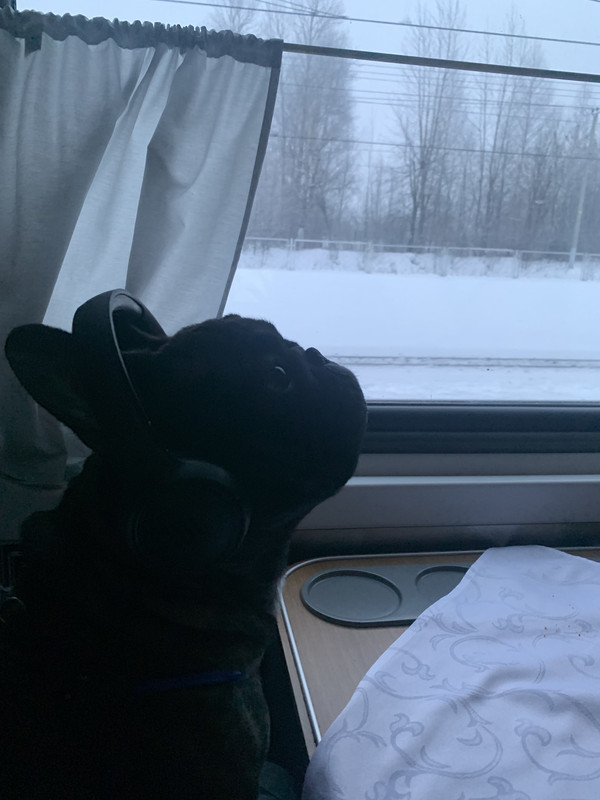 3E306CB7-232E-4BE8-AABD-603603D77595