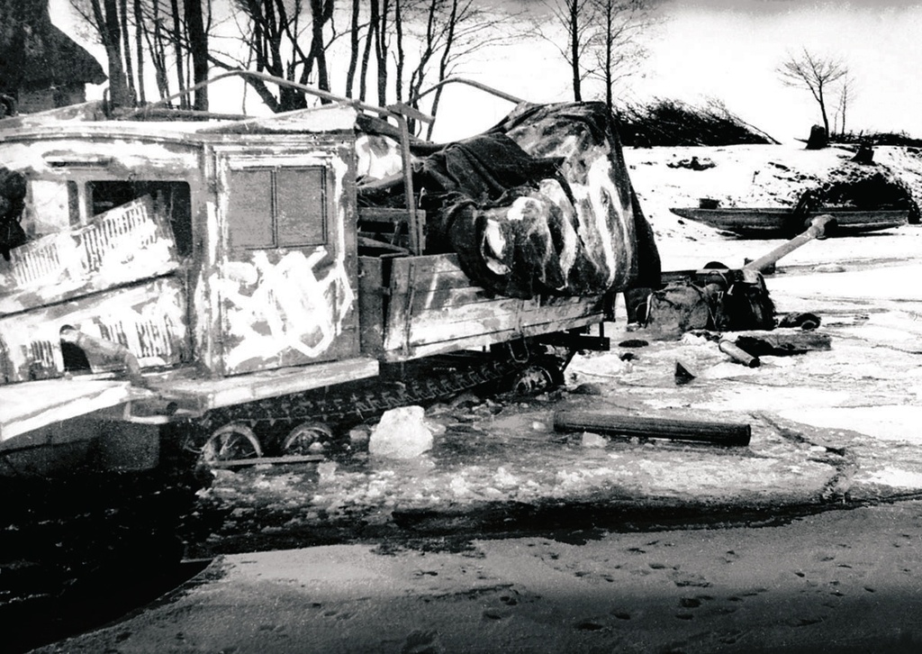 Действующая армия. Боевой трофей