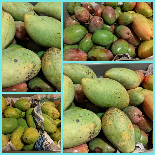 [Image: Photo-Grid-1625968410980.jpg]