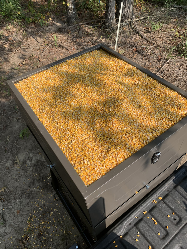 943A00CF-55A7-4451-9814-55B2C5A88638