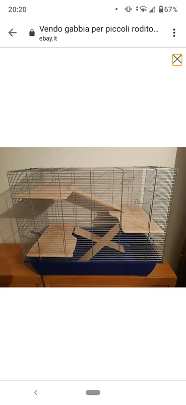 Screenshot_20201007-202041