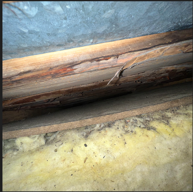 Näyttökuva 2025-03-24 182821