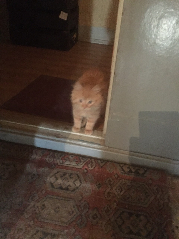 7AD09AAF-719D-49CD-B5B1-31C2ECBF3470