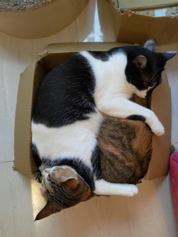 Коробочка - 2