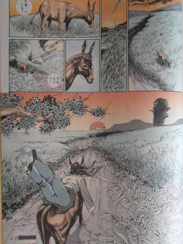 中華英雄：無争的传人