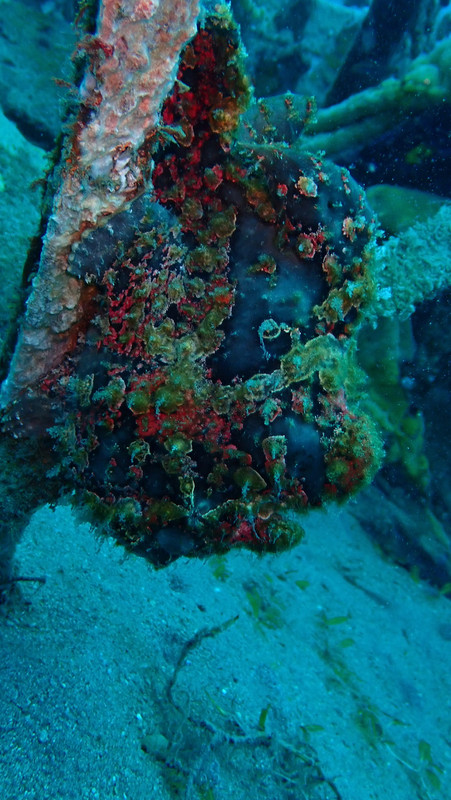 5B51A9A8-8E0C-4458-9522-AE380FCBBA19