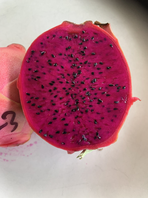 397F489E-1C15-4C65-AF07-8563E4F63B55