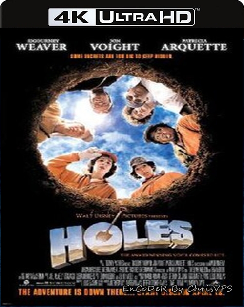 Kto pod kim dołki kopie... / Holes (2003) MULTI.HDR.2160p.BluRay.DTS.HD.MA.AC3-ChrisVPS / LEKTOR i NAPISY