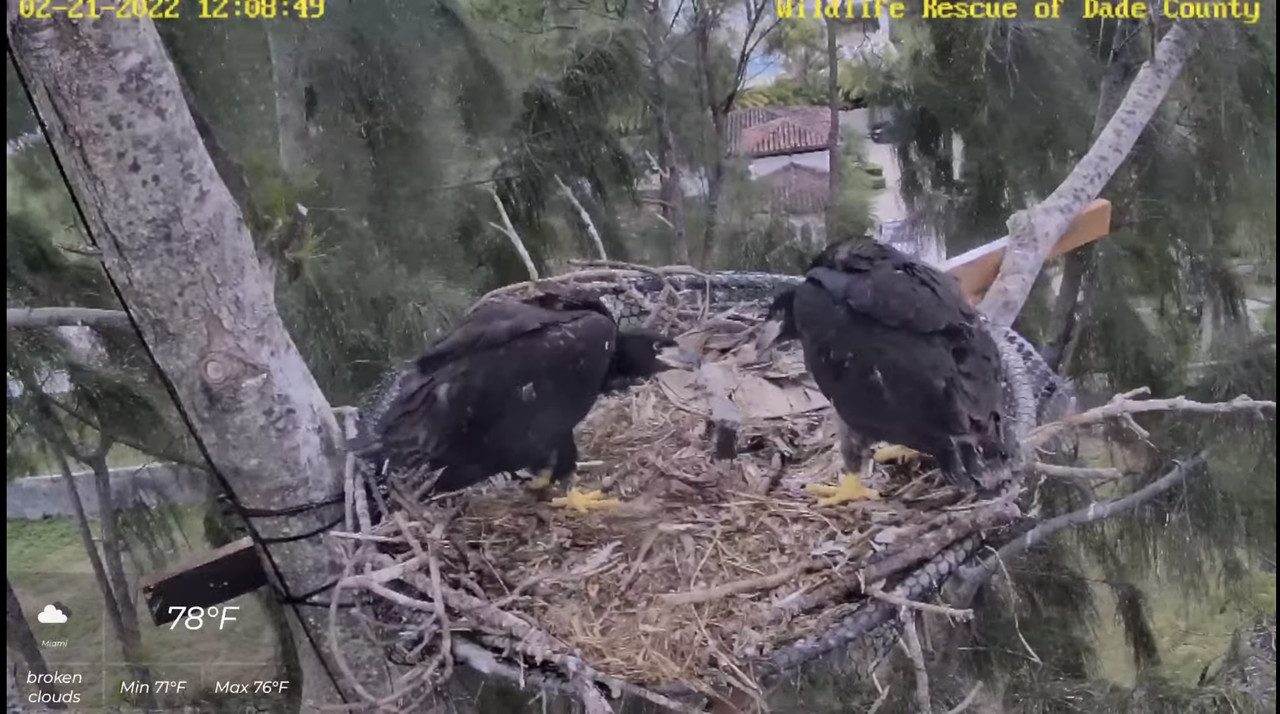 BADF6E01-5FF9-4B4D-BEC0-2346C8FC4B29