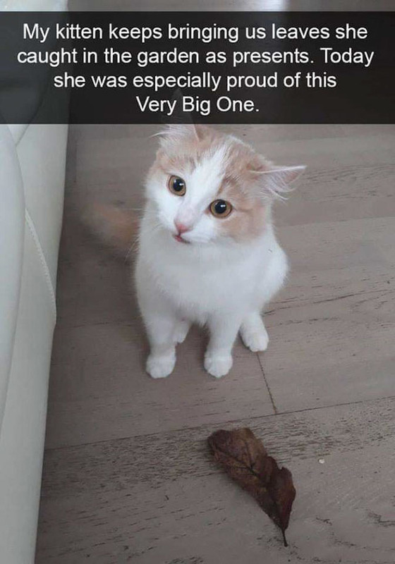 heartwarming-photos-9