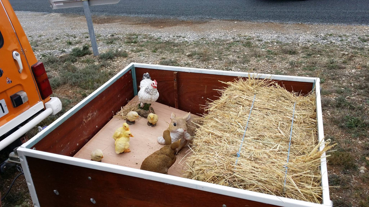 12113288_1031058983581426_7572276956302505494_o